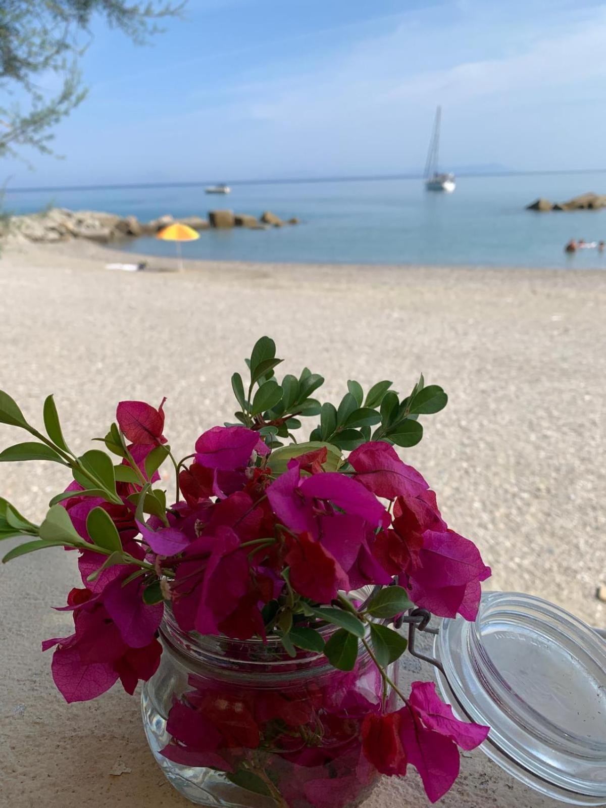 Testa Di Monaco Natural Beach Capo dʼOrlando Екстериор снимка