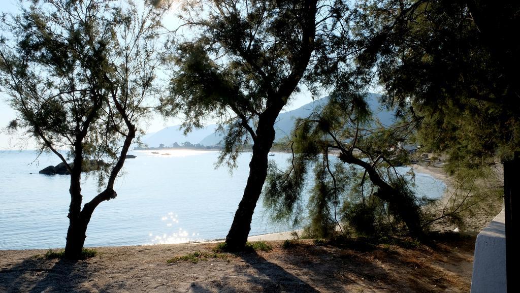 Testa Di Monaco Natural Beach Capo dʼOrlando Екстериор снимка